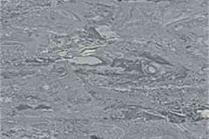 Линолеум Polyflor 2000 Pur 8230 фото  | FLOORDEALER