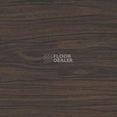 Линолеум Polyflor Expona Wood 6191 фото 1 | FLOORDEALER