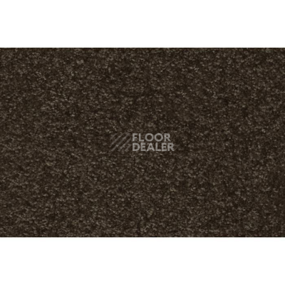 Ковролин AW Masquerade Porzia 44 фото 1 | FLOORDEALER