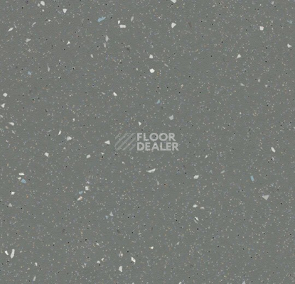 Линолеум Forbo SureStep  Fast Fit 6171952 elephant фото 1 | FLOORDEALER