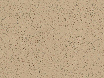 Линолеум Polyflor Polysafe Ecomax 4622 Allspice фото 1 | FLOORDEALER