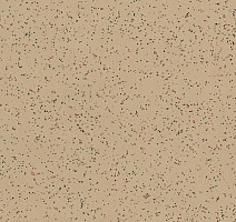 Линолеум Polyflor Polysafe Ecomax 4622 Allspice фото 1 | FLOORDEALER