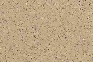 Линолеум Polyflor Polysafe Ecomax 4622 Allspice фото  | FLOORDEALER