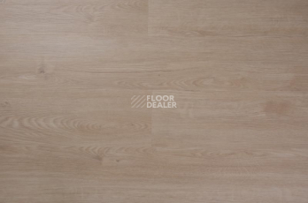 Кварцвиниловые полы Evofloor Optima Click 4.2мм Дуб Гавана фото 1 | FLOORDEALER