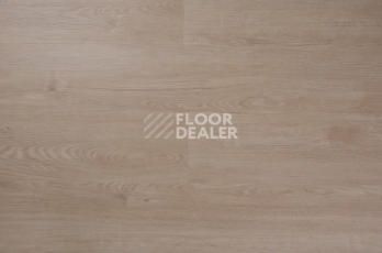 Кварцвиниловые полы Evofloor Optima Click 4.2мм Дуб Гавана фото 1 | FLOORDEALER