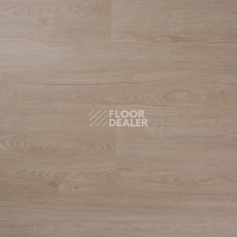 Кварцвиниловые полы Evofloor Optima Click 4.2мм Дуб Гавана фото 1 | FLOORDEALER