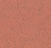 Линолеум Polyflor Polysafe Ecomax 4624 Mace фото 1 | FLOORDEALER