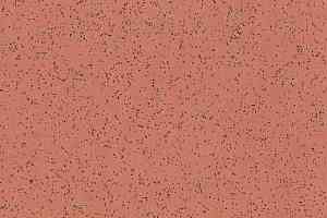 Линолеум Polyflor Polysafe Ecomax 4624 Mace фото  | FLOORDEALER