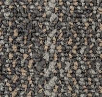 City 2009-03 фото 2 | FLOORDEALER