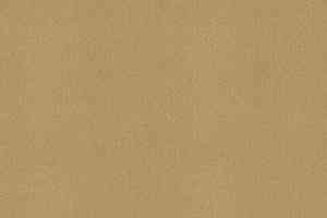 Ковровая плитка Tessera basis pro 4202 Buttercup фото  | FLOORDEALER