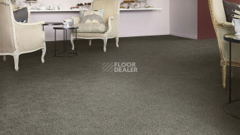 Vorwerk Superior 1041 Vorwerk 5w99 фото 2 | FLOORDEALER