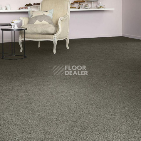 Vorwerk Superior 1041 Vorwerk 5w99 фото 2 | FLOORDEALER