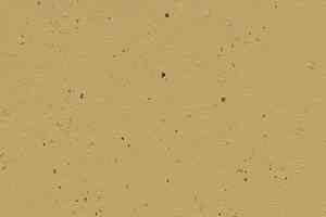 Линолеум Forbo Marmoleum Decibel on Order 358735 curcuma фото  | FLOORDEALER