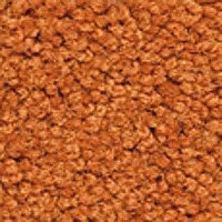 Ковролин Girloon Body1 711 фото 1 | FLOORDEALER