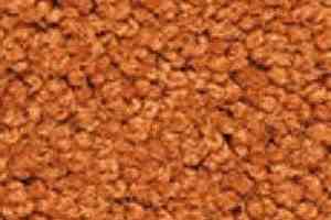 Ковролин Girloon Body1 711 фото  | FLOORDEALER