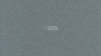 Линолеум Tarasafe Standard 7773_Storm фото 1 | FLOORDEALER