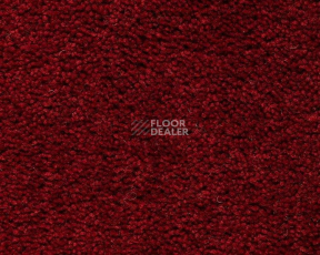 Ковролин Best Wool Pure Brunel g 70003 фото 1 | FLOORDEALER