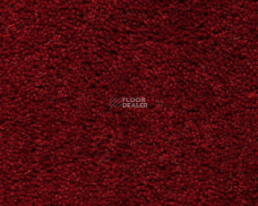 Best Wool Pure Brunel g 70003 фото 1 | FLOORDEALER