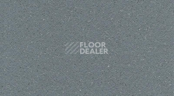 Линолеум Gerflor Tarasafe Standard 7773_Storm фото 1 | FLOORDEALER