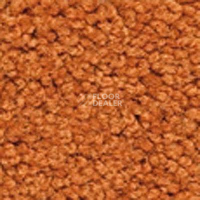 Ковролин Girloon Body1 711 фото 1 | FLOORDEALER