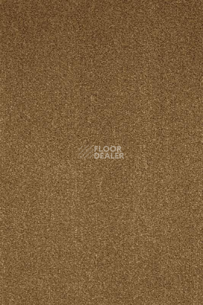 Ковролин AW Masquerade Moretta 54 фото 1 | FLOORDEALER