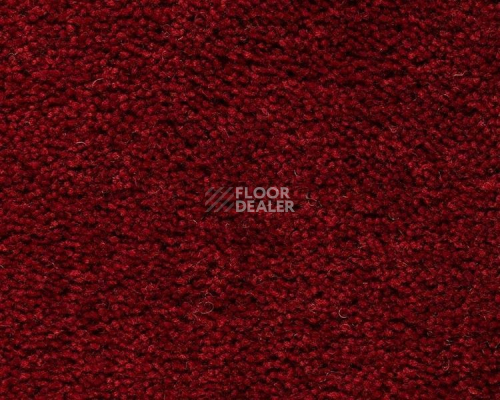 Ковролин Best Wool Pure Brunel g 70003 фото 1 | FLOORDEALER