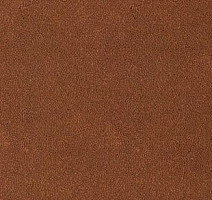 Ковролин Desso Asteranne 2098 фото 1 | FLOORDEALER