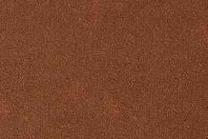 Ковролин Desso Asteranne 2098 фото  | FLOORDEALER