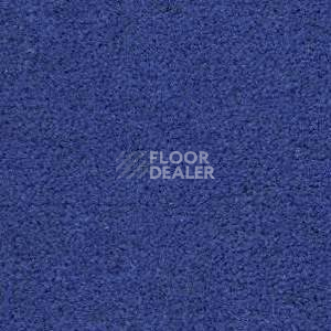 Ковролин Radici Montecarlo 33 фото 1 | FLOORDEALER