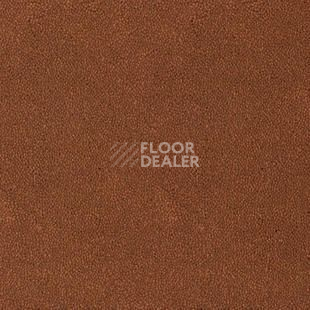 Ковролин Desso Asteranne 2098 фото 1 | FLOORDEALER