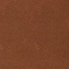 Ковролин Desso Asteranne 2098 фото 1 | FLOORDEALER