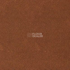 Ковролин Desso Asteranne 2098 фото 1 | FLOORDEALER