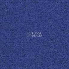 Ковролин Radici Montecarlo 33 фото 1 | FLOORDEALER