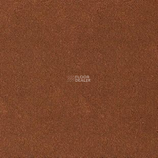 Desso Asteranne 2098 фото 1 | FLOORDEALER