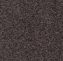 Ковровая плитка Tessera Teviot 105 фото 1 | FLOORDEALER