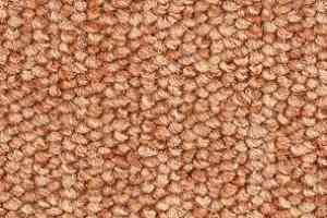 Ковролин Balsan Centaure 2000 Centaure 441 фото  | FLOORDEALER