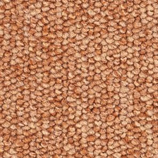 Ковролин Balsan Centaure 2000 Centaure 441 фото 1 | FLOORDEALER