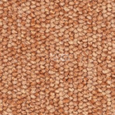 Ковролин Balsan Centaure 2000 Centaure 441 фото 1 | FLOORDEALER