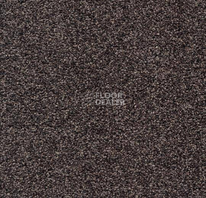 Ковровая плитка Tessera Teviot 105 фото 1 | FLOORDEALER