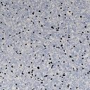 Линолеум Standard Conductive 804 Lake  | FLOORDEALER