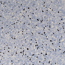 Standard Conductive 804 Lake фото 1 | FLOORDEALER