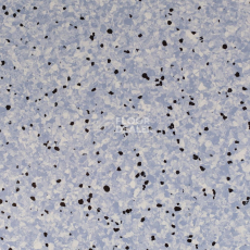 Линолеум Standard Conductive 804 Lake фото 1 | FLOORDEALER