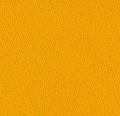 Ковровая плитка Westbond Ibond Natural 9210 фото 1 | FLOORDEALER