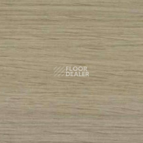 Плинтус Dollken EP 60/13 2698 фото 2 | FLOORDEALER
