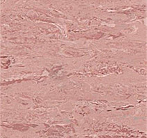 Линолеум Polyflor 2000 Pur 8950 фото 1 | FLOORDEALER