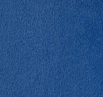 Ковролин Vorwerk Passion 1000/Modena Vorwerk 3n55 фото 1 | FLOORDEALER