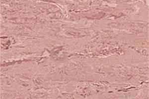 Линолеум Polyflor 2000 Pur 8950 фото  | FLOORDEALER