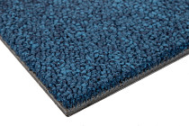 Standard Carpets Spectrum sm 556 фото 5 | FLOORDEALER