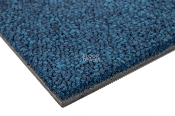 Standard Carpets Spectrum sm 556 фото 5 | FLOORDEALER
