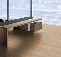 Kronotex Robusto 12мм d4954 Дуб Премиум фото 8 | FLOORDEALER